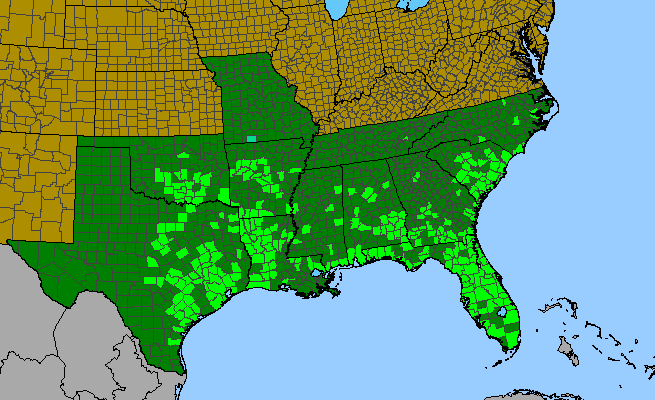 The range of Sesbania vesicaria